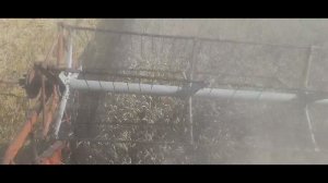 Уборка пшеницы продолжается.