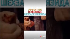 Великолепный век эффектное появления шас задержку баязета