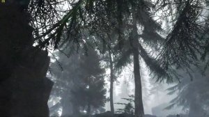 Skyrim With 1000+ Mods - Work in Progress