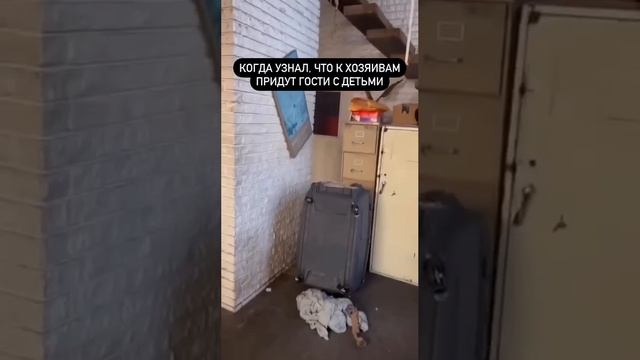 Вот так выглядет паника