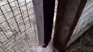 Мини Ферма.Обзор на хозяйство, поднято за три года своими руками.