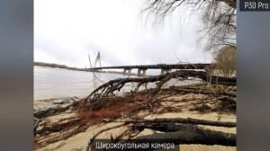 Сравнение камер Huawei P30 Pro и P20 Pro | Обзор камер Huawei P30 Pro