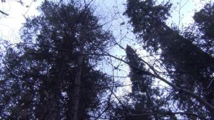 1 Бушкрафт Рыбалка Тайга Охота Выживание Сибирь Лес 77 Счастливые люди