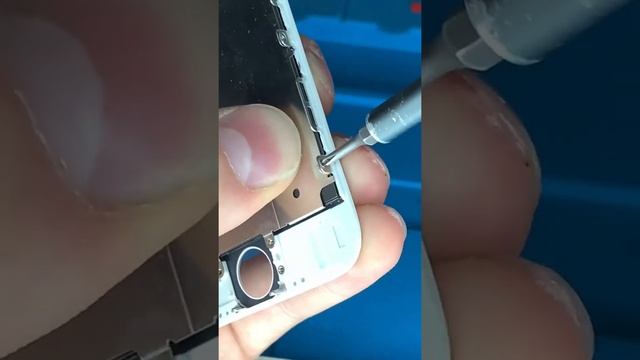 Восстановление и перепродажа iPhone 6 pt.2