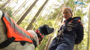 Мы — петербуржцы. Волонтёр поисково-спасательного отряда «Экстремум» Екатерина Бирюкова