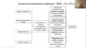 Гоголь И.А. Клиническая акупунктура при заболеваниях внутренних органов: бронхиальная астма, ОРЗ.