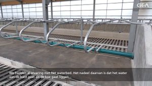 GEA Dairy Farming - Frank Boks over de Akwatopsoft matras
