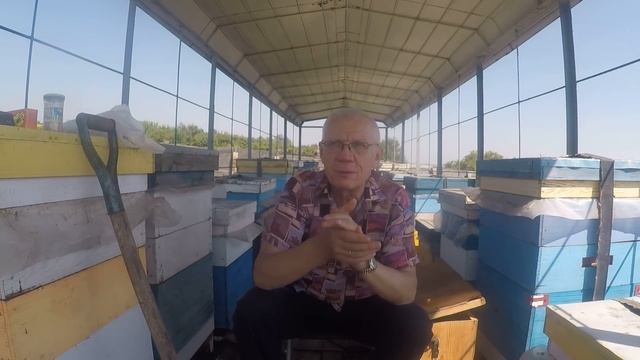 Пасека август Качать мед с гнезд или нет Осушка рамок За и Против смотреть онлайн