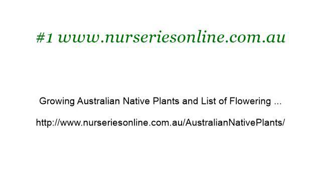 Native Australian Climbing Plants