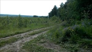 Yamaha TDM 850 мотопутешествие часть 1