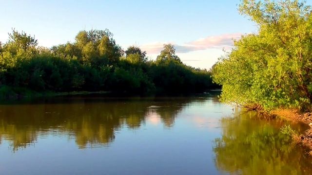 Исцеление от аритмии сердца 2 часть (2 вариант) Для мужчин и женщин Сытин Г.Н. смотреть онлайн