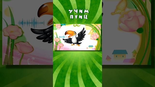 Тукан - Птицы для детей | Учим птиц #длядетей #развивающие #мультики #baby-school