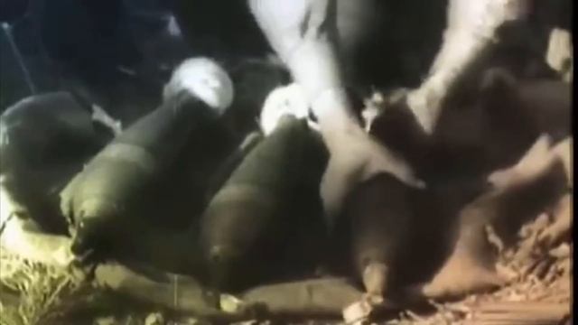 Минометы от БМ 37 до М 240 смотреть онлайн