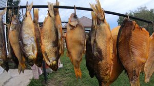 Рыба сухого посола. Разнорыбье