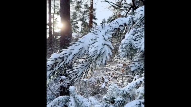 Прекрасное рядом....