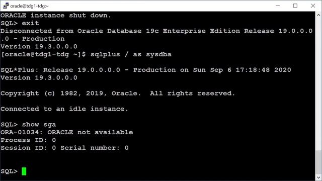 How to connect to an Oracle 19c Database смотреть онлайн