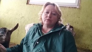 Обогрев Кур и Перепелов ?РОДОВОЕ отделение для КОЗ в сарае ?