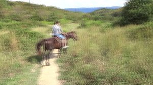 Horseback riding & excursions in Pitsunda (Part 1)