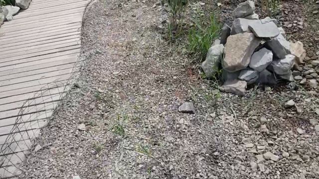 Делать или нет бортик из арт бетона в биоплато пруда? | ПРУД ПРУДИ смотреть онлайн