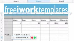 Numbers STRIPDURATION Function