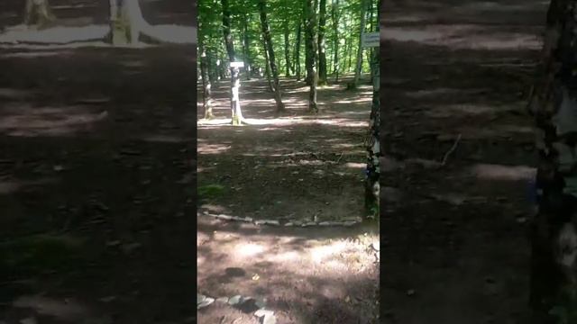 "Мыс Миллениум". Лабиринт "Путь к Совершенству".