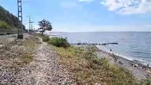 СТРИМ: идём к морю, щупаем колючки и кузнечиков, глазеем на южные улочки и бананы. смотреть онлайн