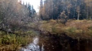 Игрим ХМАО Югра Природа Необыкновенной красоты!!!