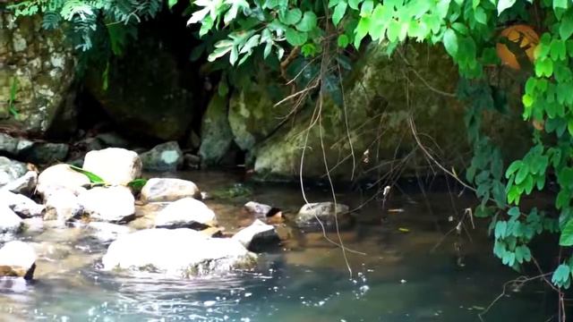 Relaxing Beautiful Love Songs 70's 80's 90's 💖Most Romantic Guitar, Sax, Piano Love Songs 80's, 90' смотреть онлайн