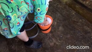 Доильный аппарат передвижной