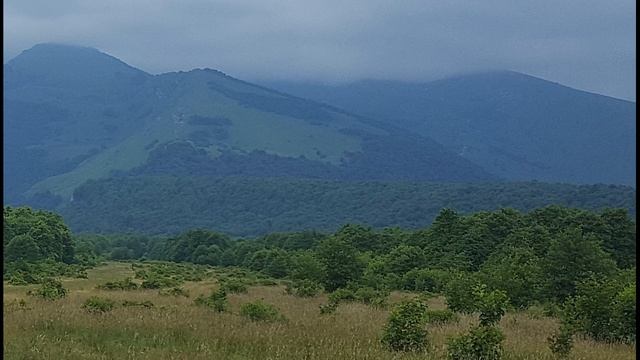 Гриб зонтик краснеющий Chlorophyllum rhacodes Съедобность Видео определитель Часть 1 смотреть онлайн