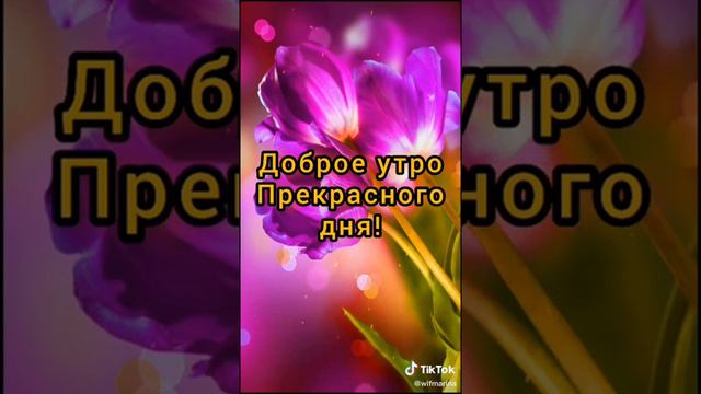 Доброе утро солнышко!!! смотреть онлайн