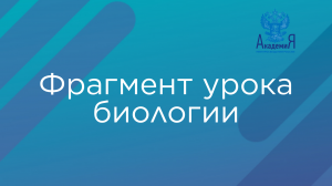 Фрагмент урока биологии