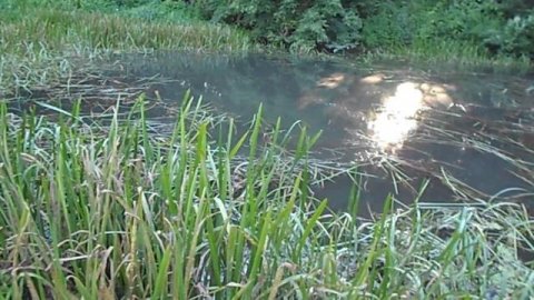 Плохая примета