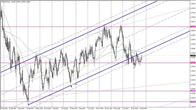 Forex прогноз: 21/02/2016 смотреть онлайн