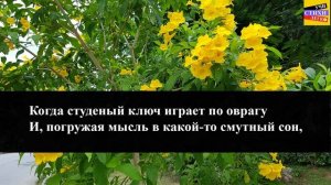 М.Ю. Лермонтов "Когда волнуется желтеющая нива" | Учи стихи легко | Аудио Стихи Слушать Онлайн