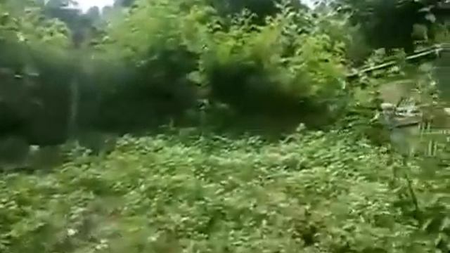 Шестиугольная беседка из профнастила