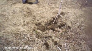 коп чермета на полях