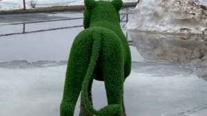 ПОЛЯ ИЗ ДЕРЕВКИ