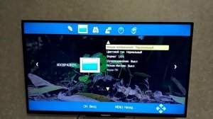 Обзор телевизора Horizont 43LE5173D