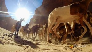 Тур в Чад: Эннеди и соленые озера Унианга (трейлер)