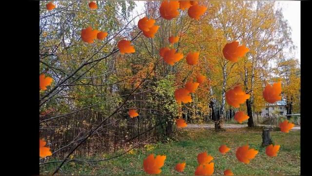 Тамара Анисимова