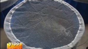 Разведение декоративных карпов КОИ  в Японии