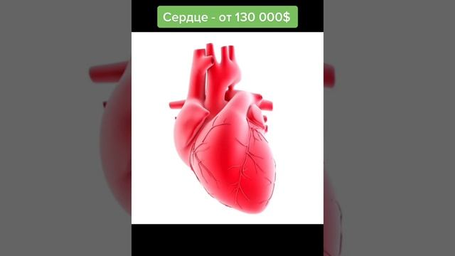 Самые дорогие органы человека!
