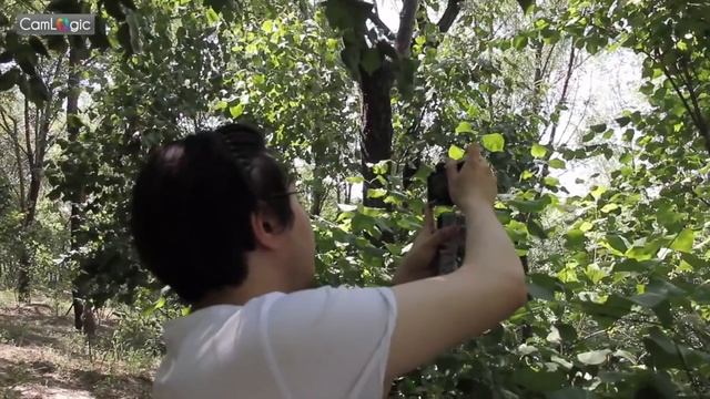 【CamLogic相机逻辑】徕卡 leica x2 VS x100s Review смотреть онлайн