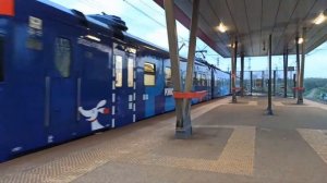 РЖД Поезд Экспресс РЭКС Стандарт Плюс Лобня-Одинцово прибывает на 1 путь платформа Окружная МЦД-1