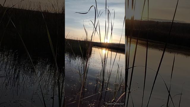 Воткинск, река шарканка смотреть онлайн