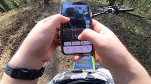 МИНИ ДАЛЬНЯК НА ПИТБАЙКЕ. УПАЛО ДЕРЕВО В ЛЕСУ