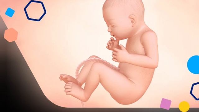 Java e 32 e Shtatzanise. Cfare pritet te ndodhe gjate kesaj jave? смотреть онлайн