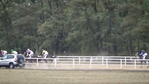 Павловский ипподром 26.09 - (лошади 2х лет, дистанция 1400 метров)