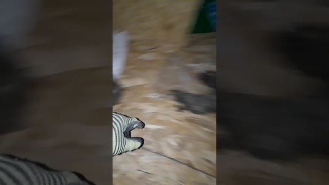 Как правильно собрать ппу короб для бани #shortsvideo смотреть онлайн